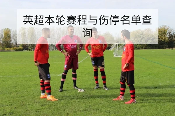 英超本轮赛程与伤停名单查询